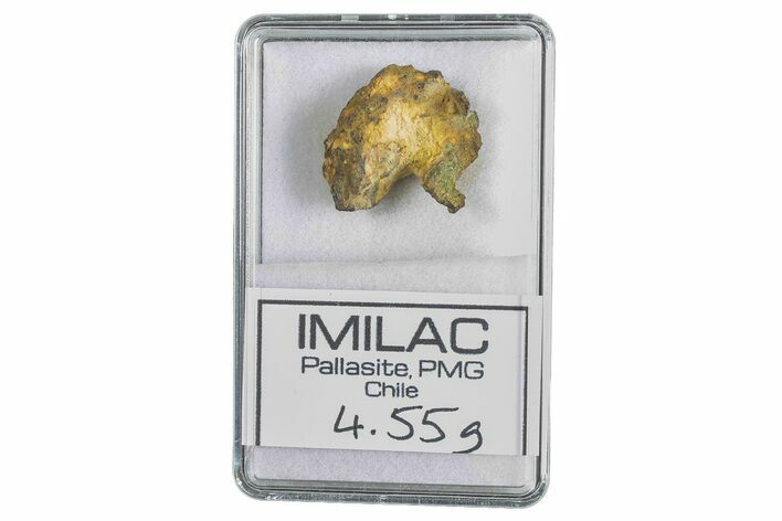 Pallasite Meteorite ( g) Fragment - Imilac #285896